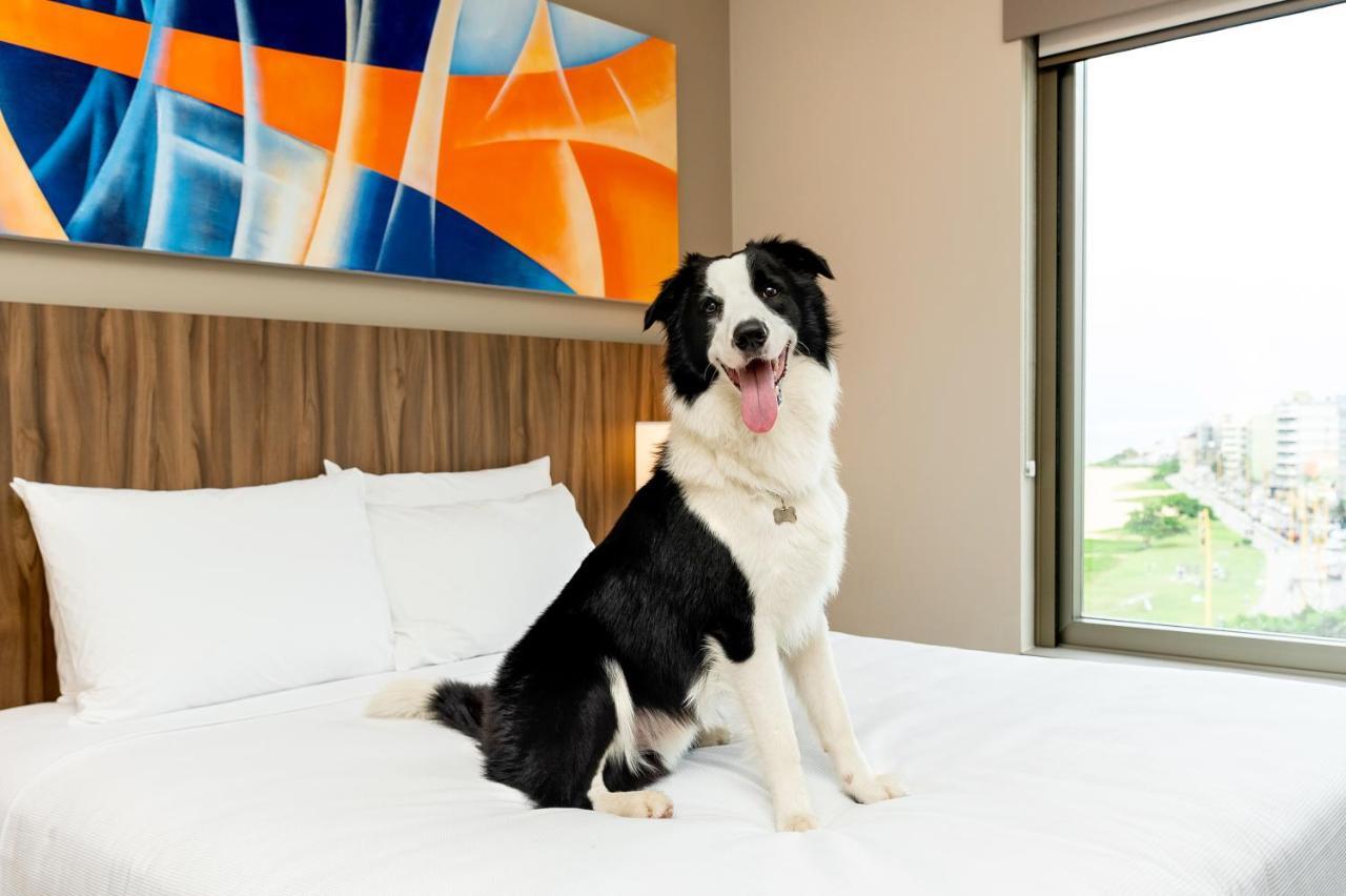 Hyatt Place Macaé Kültér fotó